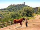 Sardinien-Bosa-Pferdehof Piccolo Paradiso