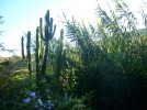 sardinien-ferienwohnung-antonica