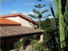 sardinien-apartment-antonica