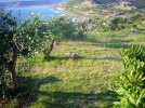 sardinien-caterina-gemeinschaftsgarten blick in die bucht turas, westküste, sardinien
