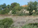sardinien, ferienhaus carina, umgebung