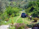 sardinien-ferienhaus-ciliega-auffahrt sardinien-ferienhaus-ciliega-auffahrt