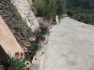 Ferienhaus Contra, Sardinien bei Bosa sardische Wandmalerei am Casa Contra