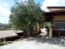 sardinien-ferienhaus contra-olma sardinien-ferienhaus contra-olma