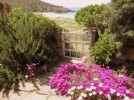 sardinien-ferienhaus-marino-zum-meer sardinien-ferienhaus-marino-zum-meer