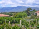 sardinien-ferienhaus-prammariscu