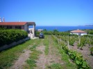 sardinien-ferienhaus-prammariscu