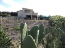 sardinien-ferienhaus-prammariscu