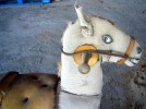 sardinien-ferienhaus-prammariscu-pferdchen