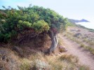 Kueste hinter Porto Alabe, Sardinien, Italien Porto Alabe am Ende des Hauptstrandes, Sardinien