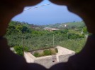 sardinien_mandorla sardinien_mandorla