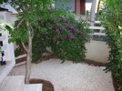 sardinien-alghero-costa-garten sardinien-alghero-costa-garten