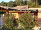 Sardinien-Ferienhaus-Ciliega-blumen Sardinien-Ferienhaus-Ciliega-blumen
