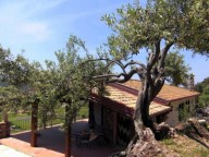 Sardinien-Bosa-Pferdehof Piccolo Paradiso