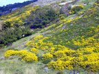 Sardinien_dea_madre_view