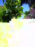Sardinien_ferienwohnung_luisa