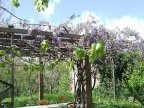 Ferienhaus_Agostino_Pergola