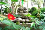 bed_and_breakfast_firenze_bimbi
