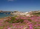 Sardinien, Castelsardo, Spiaggia dei graniti