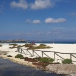 Die Traumstrände bei Stintino im Norden von Sardinien