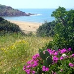 Im Frühling, Strand und Steilküste