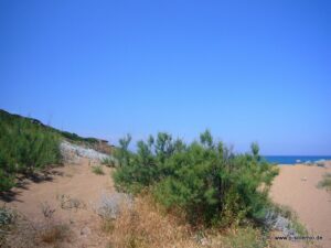 Dünen am Strand