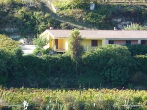 Gelbes Ferienhaus inmitten von Weinbergen