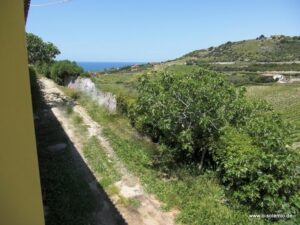 Ferienhaus Puttu: Blick vom Haus über die Weinberge zum Meer