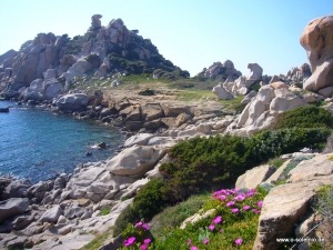 Stazzu di Gallura