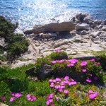 Gallura, Rena maiore, nahe San Pantaleo