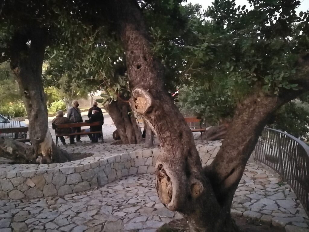 Am Abend plauscht man unter den alten Olivenbäumen im Ort Am Abend plauscht man unter den alten Olivenbäumen im Ort