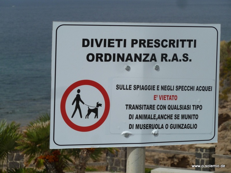Hund sardinien erfahrungen urlaub mit Korsika mit