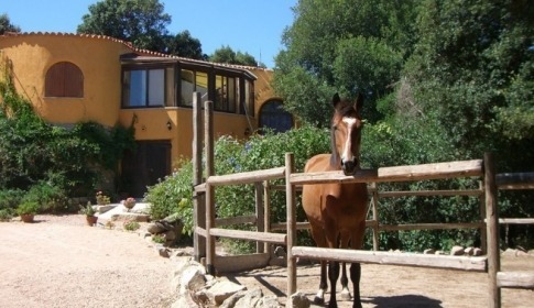 Villa Rena Majore, Sardinien, Gallura