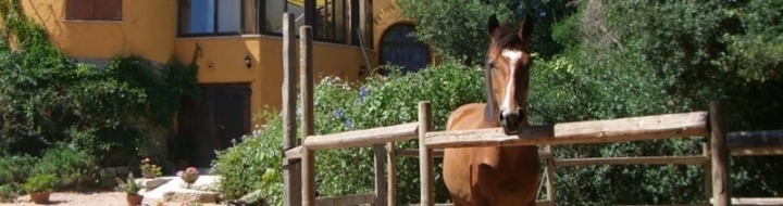 Villa Rena Majore, Sardinien, Gallura