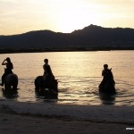 Reiterferien in Sardinien