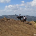 Reiterferien in Sardinien