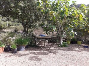 im Schatten Platz nehmen
