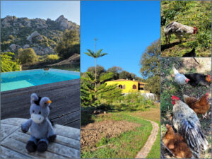 Collage einer Sardinienrundreise mit Pool, Bergen und Garten