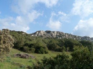 Sardinien, Olbia Tempio, Olivia