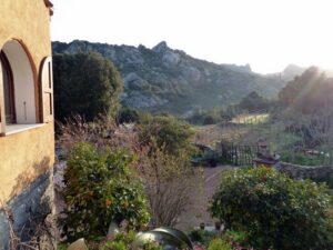 Sardinien, Olbia Tempio, Olivia