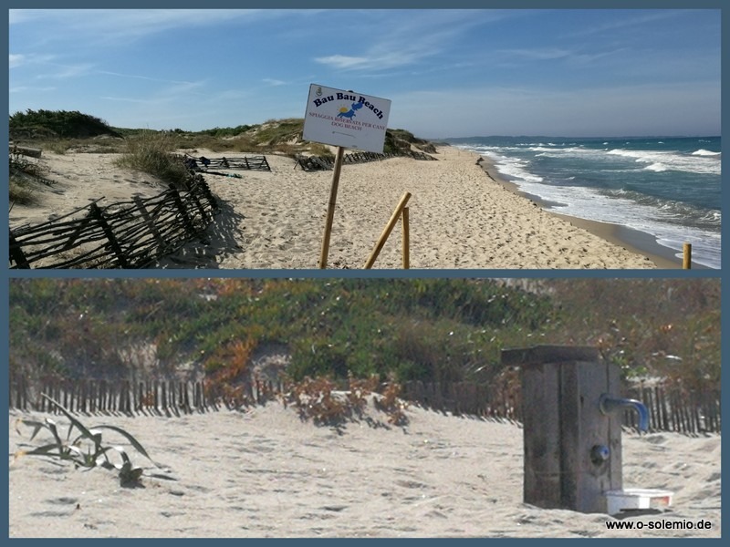 Mit Hund im Urlaub Hundestrände auf Sardinien OSolemio
