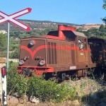 trenino verde