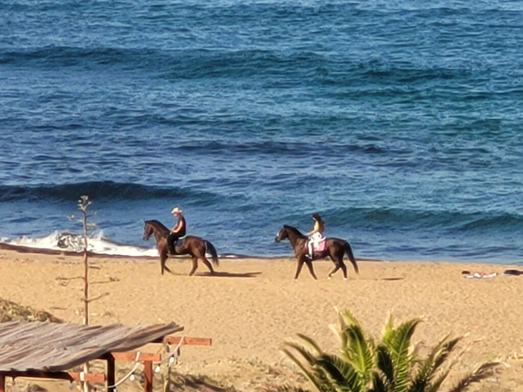 Reiten am Strand- herrlich! Reiten am Strand- herrlich!