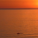 Urlaub im Fischerhaus Domenica in Porto Alabe