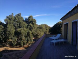 Balkon mit Liegestuhl und Blick auf Bäume