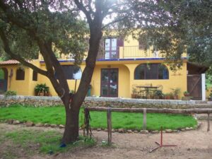Pferdehof bei San Teodoro: gelbes Haus mit Garten und Baum