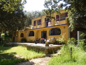 Das Haupthaus des Hof Morgenstern
