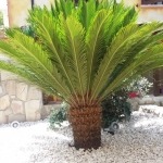 Ferienwohnung Pina, Porto Alabe