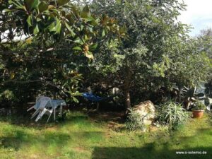 Garten mit Sitzgelegenheit und Hängematte