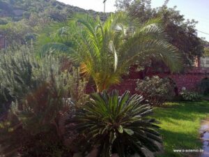 Garten mit Sitzgelegenheit und Hängematte